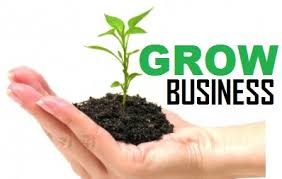 استراتژیهای مؤثردرکسب وکارهای نوپا