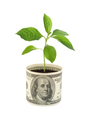 استارت آپ‌ها و سرمایه‌گذاری مخاطره‌پذیر